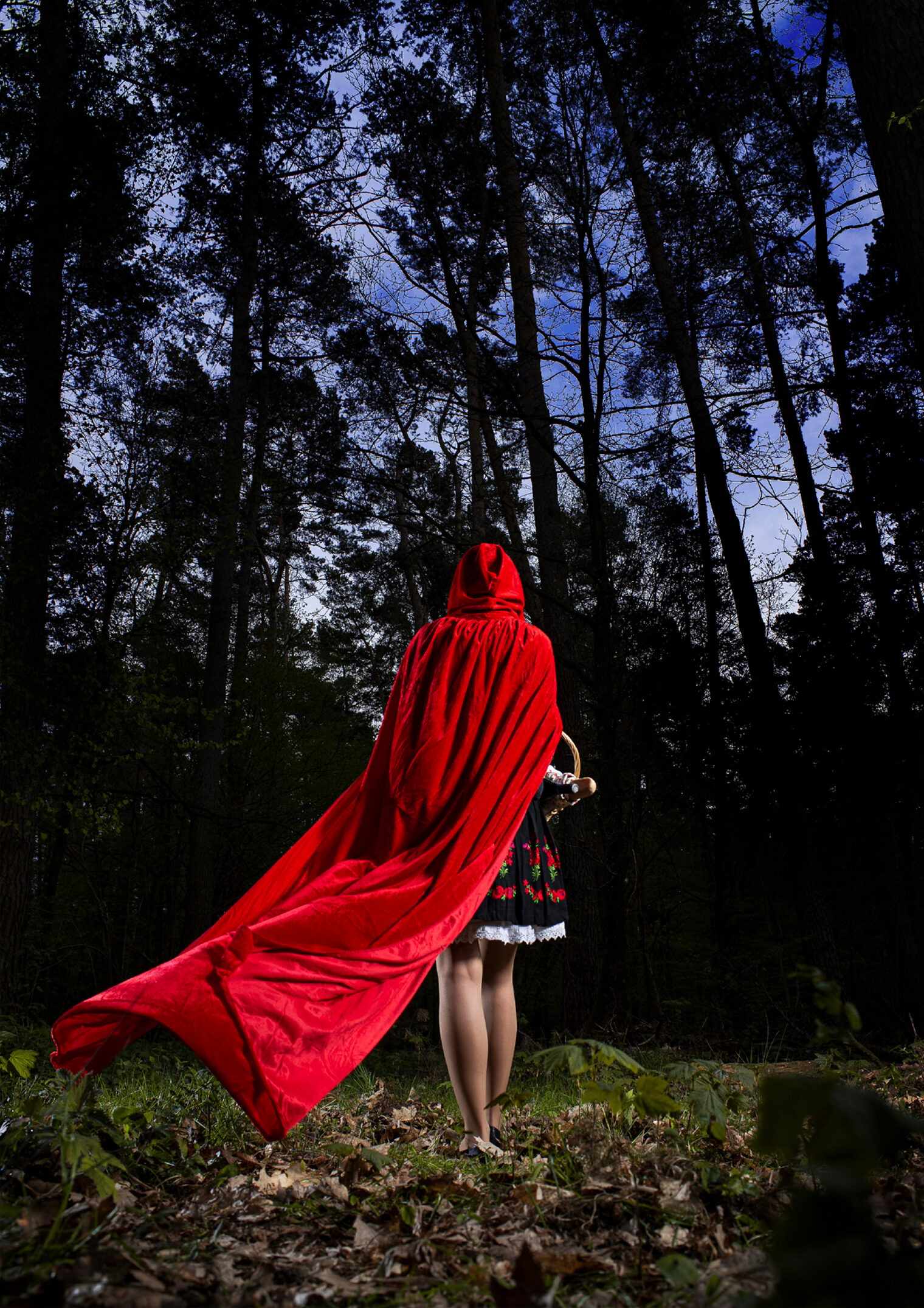 Little Red Riding Hood | Gesellenprüfung 2021 | Berufskolleg Kartäuserwall Little Red Riding Hood | Gesellenprüfung 2021 | Berufskolleg Kartäuserwall